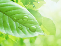 eco.jpgのサムネール画像